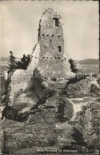 Ormalingen Ruine Farnsburg Kat. Ormalingen