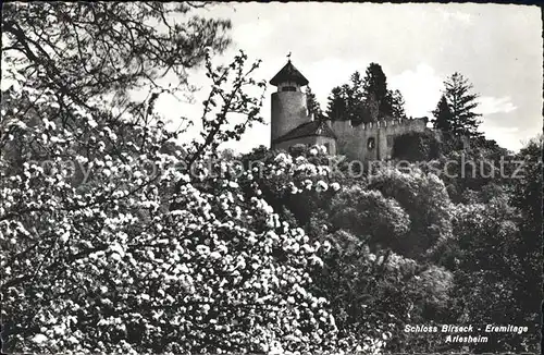 Arlesheim Schloss Birseck Eremitage Baumbluete Kat. Arlesheim