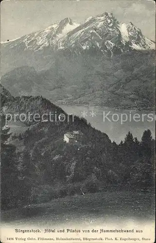 Buergenstock Hotel und Pilatus von der Hammetschwand aus / Buergenstock /Bz. Nidwalden