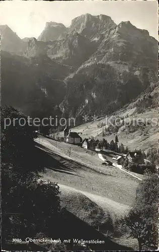 Oberrickenbach Gesamtansicht gegen Wallenstoecke Urner Alpen Kat. Oberrickenbach