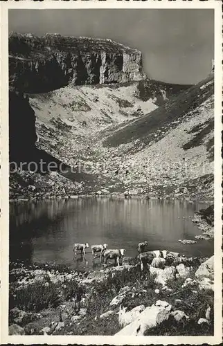 Leysin Lac de Mayen Kat. Leysin