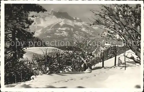 Leysin et les Dents du Midi Kat. Leysin