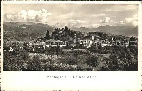 Montagnola Collina d`Oro Kat. Montagnola