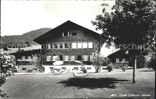 Saanen Chalet Spitzhorn Kat. Saanen