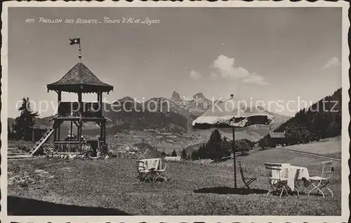 Leysin Pavillon des Ecovets Kat. Leysin