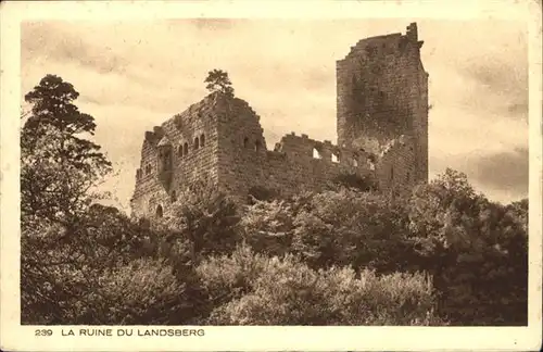 Barr Bas-Rhin Ruine Landsberg * / Barr /Arrond. de Selestat-Erstein