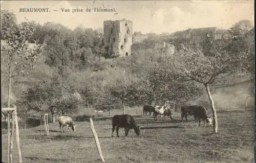 Beaumont-en-Argonne Beaumont Thinmont x / Beaumont-en-Argonne /Arrond. de Sedan