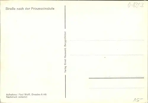 Berggiesshuebel Kneippkurort Strasse Prinzessinsaeule / Bad Gottleuba-Berggiesshuebel /Saechsische Schweiz-Osterzgebirge LKR