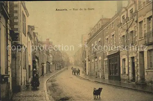 Ancenis Rue de la Gare Chien Kat. Ancenis