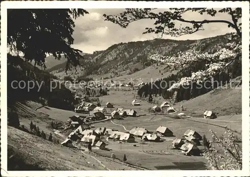 Menzenschwand Blick vom Waldrand Hoehenluftkurort Wintersportplatz Schwarzwald Kat. St. Blasien