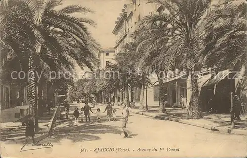 Ajaccio Avenue du 1er Consul Palmiers Kat. Ajaccio