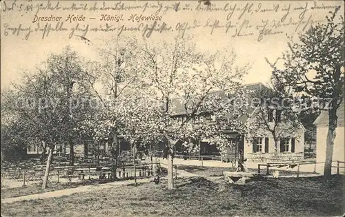 Dresden Dresdner Heide Koenigliche Hofwiese Baumbluete Kat. Dresden Elbe