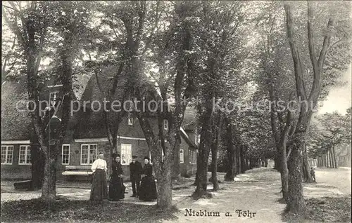 Nieblum Teilansicht Baumallee Kat. Nieblum Insel Foehr