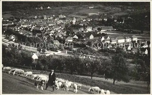 Murrhardt Totalansicht Schaefer mit Herde Kat. Murrhardt