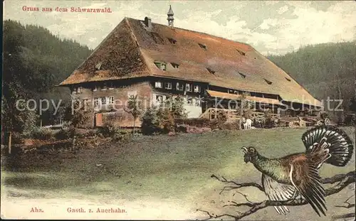 Aha Schluchsee Gasthaus zum Auerhahn Kat. Schluchsee