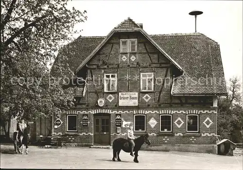 Stiershof Gasthaus Gruener Baum Ponyreiten Kat. Oberrot