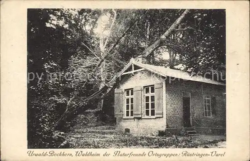 Bockhorn Friesland Urwald Waldheim der Naturfreunde Ruestringen Varel / Bockhorn /Friesland LKR