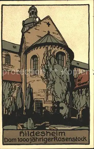 Hildesheim Dom 1000jaehriger Rosenstock Kuenstler Steinzeichnung Kat. Hildesheim