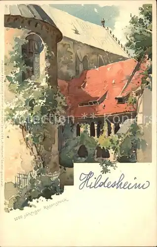 Hildesheim 1000jaehriger Rosenstock Kuenstlerkarte Kat. Hildesheim
