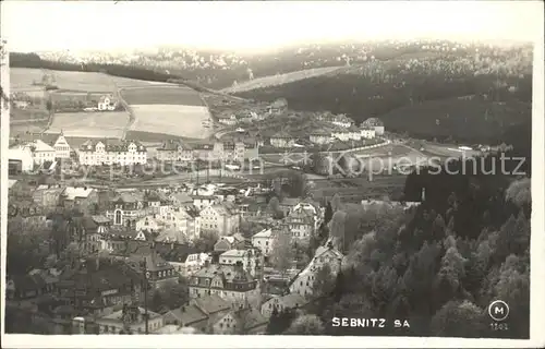 Sebnitz Panorama Kat. Sebnitz