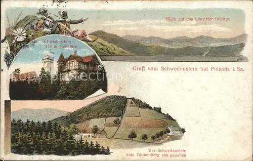 Pulsnitz Sachsen Lausitzer Gebirge Schwedenstein Blick vom Tannenberg Kat. Pulsnitz