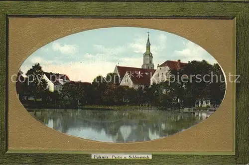 Pulsnitz Sachsen Partie am Schlossteich Kat. Pulsnitz