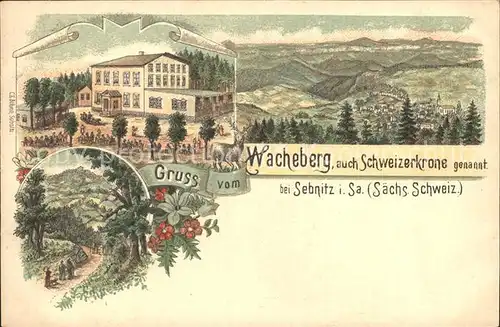 Sebnitz Wacheberg Schweizerkrone Panorama Kat. Sebnitz