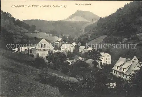 Krippen Bad Schandau mit Kohlbornstein Kat. Bad Schandau