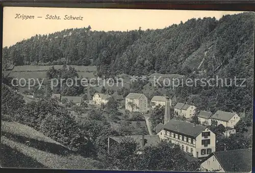 Krippen Bad Schandau Teilansicht Kat. Bad Schandau