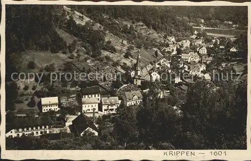 Krippen Bad Schandau Totalansicht Kat. Bad Schandau