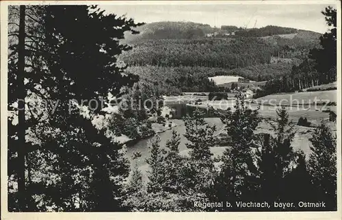 Viechtach Bayerischer Wald Regental Kat. Viechtach