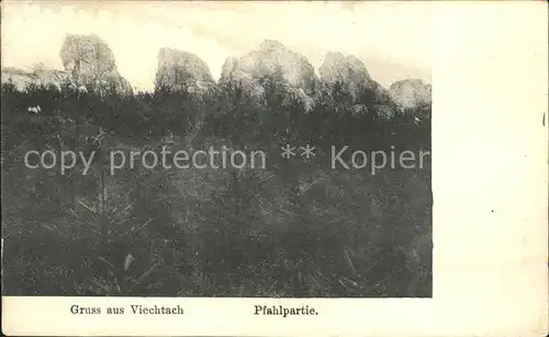 Viechtach Bayerischer Wald Pfahlpartie Kat. Viechtach