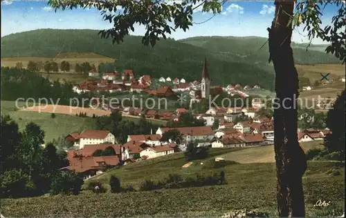 Teisnach Panorama Kat. Teisnach