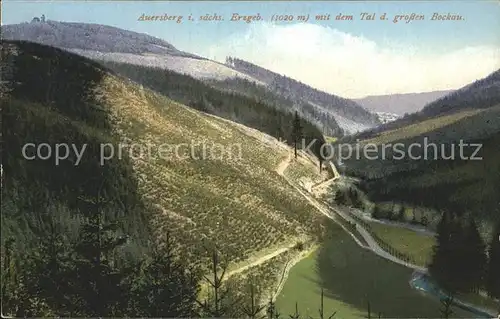 Auersberg Wildenthal mit dem Tal der grossen Bockau Kat. Eibenstock