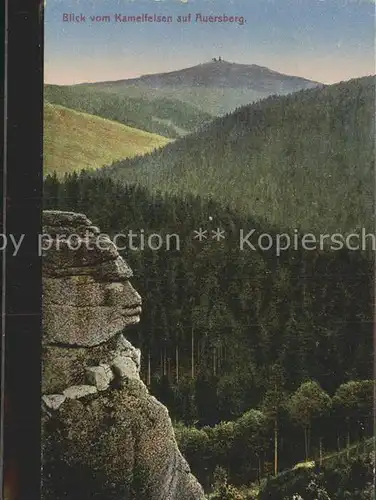 Auersberg Wildenthal Blick vom Kamelfelsen Kat. Eibenstock