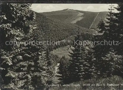 Auersberg Wildenthal Blick vom Friebusser Wald Kat. Eibenstock