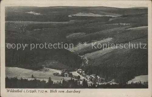 Wildenthal Eibenstock Blick vom Auersberg