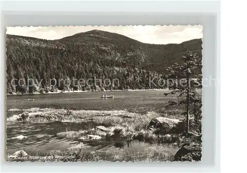 Arbersee mit Arbergipfel Kat. Bayerisch Eisenstein