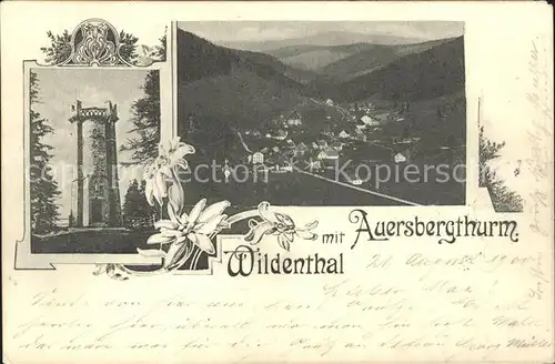 Auersberg Wildenthal mit Aussichtsturm Kat. Eibenstock