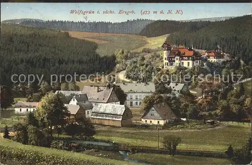 Wolfsgruen Ortsansicht Kat. Eibenstock