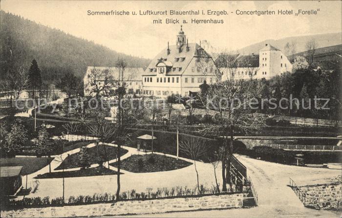 Blauenthal Erzgebirge Concertgarten Hotel Forelle mit Herrenhaus Kat