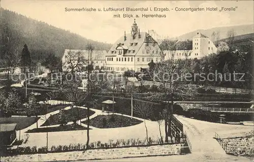 Blauenthal Erzgebirge Concertgarten Hotel Forelle mit Herrenhaus Kat. Eibenstock
