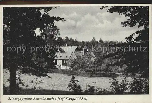 Lauter Schwarzenberg Erzgebirge Waldgaststaette Conradswiese Kat. Lauter Sachsen