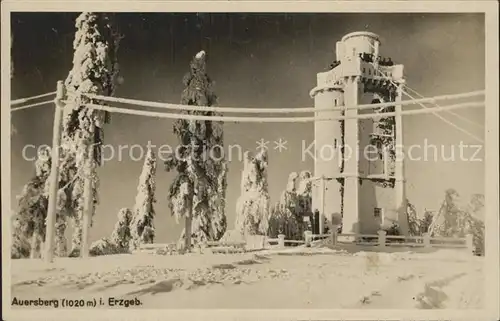 Auersberg Wildenthal Unterkunftshaus und Aussichtsturm Kat. Eibenstock