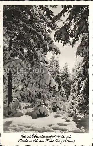 Oberwiesenthal Erzgebirge Winterwald am Fichtelberg Kat. Oberwiesenthal