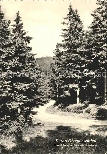 Oberwiesenthal Erzgebirge Hirschfalzweg mit Fichtelbergblick Kat. Oberwiesenthal