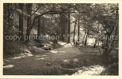 Oberschlema Erzgebirge Eichhoernchenbrunnen am Poetenweg Kat. Bad Schlema