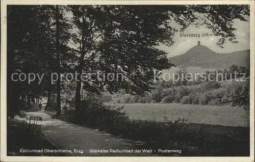 Oberschlema Erzgebirge Poetenweg Gleesberg Kat. Bad Schlema