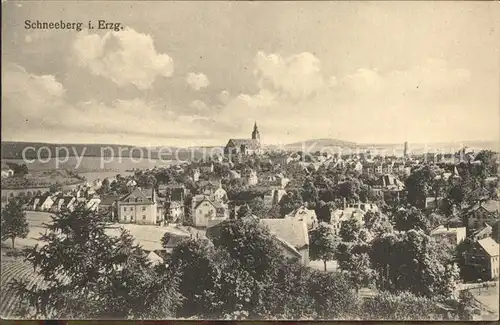 Schneeberg Erzgebirge Gesamtansicht Kat. Schneeberg