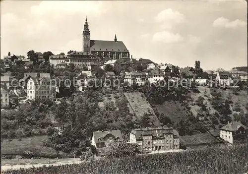 Schneeberg Erzgebirge Ortsansicht mit Kirche Kat. Schneeberg